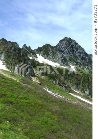 Kiso Komagatake Senjyojiki curl 95735273