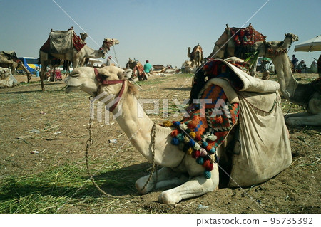 egyptian pyramid scene egyptian pyramid scene 95735392