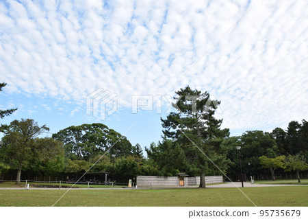 Sky and green Sky and green 95735679