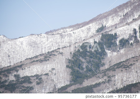 從青森縣陸奧市看到的白雪皚皚的鐮草山 從青森縣陸奧市看到的白雪皚皚的鐮草山 95736177