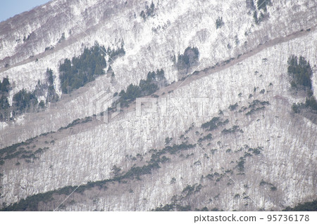 從青森縣陸奧市看到的白雪皚皚的鐮草山 95736178