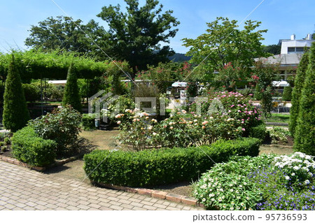 Midsummer daytime scenery at Ashikaga Flower Park in Tochigi Prefecture, Japan 95736593