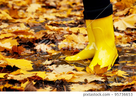 woman wearing yellow rain boots walking into puddle in autumn park woman wearing yellow rain boots walking into puddle in autumn park 95736653