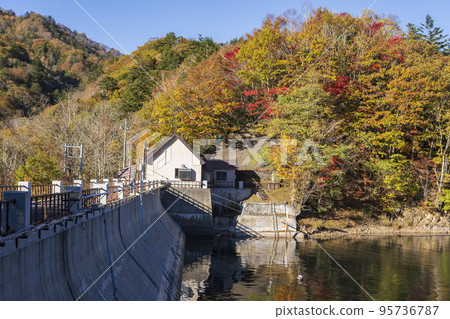 秋天的丸沼大壩[丸沼高原/日光國立公園]/群馬縣利根區片品村 95736787