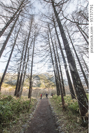 Sunny Kamikochi and early morning hiking trails 95737791