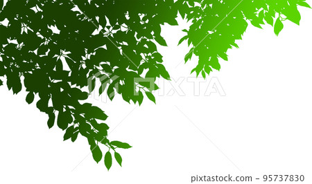 Silhouette image of branches and leaves looking up from under a tree. gradient background transparent illustration Silhouette image of branches and leaves looking up from under a tree. gradient background transparent illustration 95737830