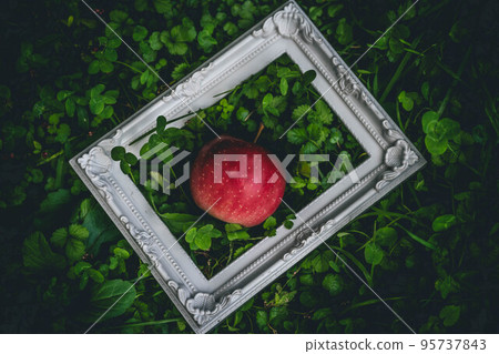 framed apple framed apple 95737843