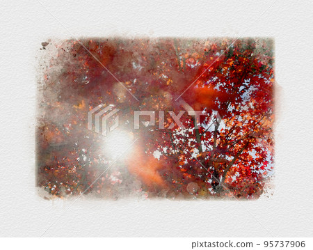 秋葉染紅,日本的秋葉 秋葉染紅,日本的秋葉 95737906