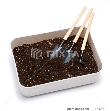 plastic box with substrate soil for transplanting houseplants isolated on white background 95737909