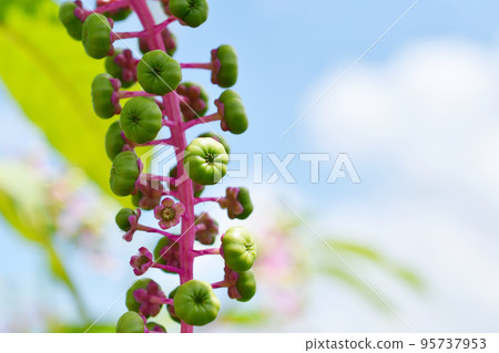 山區鄉房 山區鄉房 95737953