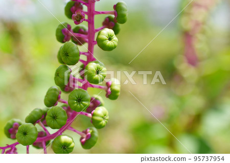 山區鄉房 95737954