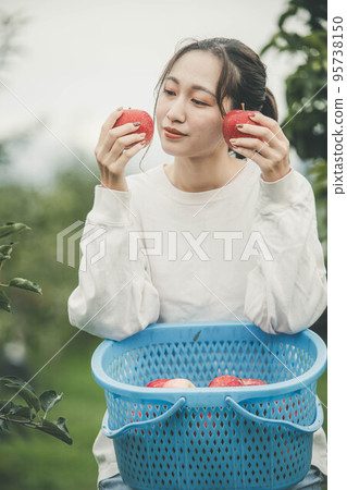 收蘋果的女人 收蘋果的女人 95738150