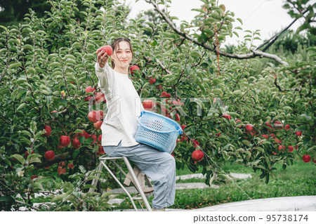 收蘋果的女人 95738174