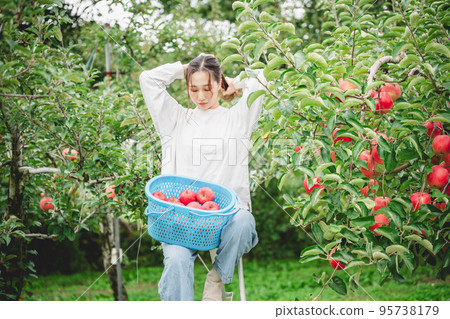 收蘋果的女人 95738179