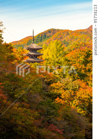 Definition Mountain foliage Definition Mountain foliage 95738213