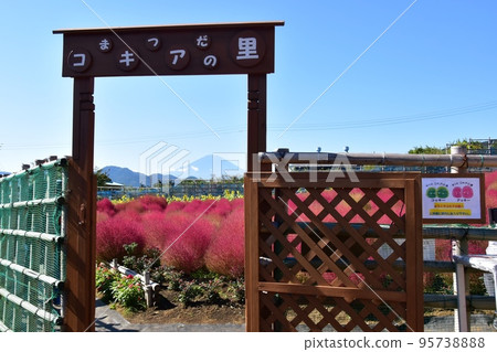 松田町、松田地膚之裡（西平畑公園）門和富士山 95738888