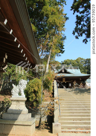 Komainu and Worship Hall of Taibata Yakujin Hachimangu Shrine in Kobe Komainu and Worship Hall of Taibata Yakujin Hachimangu Shrine in Kobe 95739019