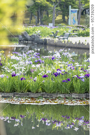 初夏公園 水面上反射的夏季彩色圖像 初夏公園 水面上反射的夏季彩色圖像 95739209