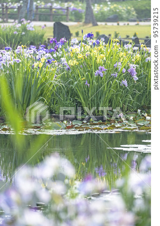 初夏公園 水面上反射的夏季彩色圖像 初夏公園 水面上反射的夏季彩色圖像 95739215