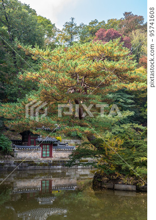 Changdeokgung royal palace of the Joseon dynasty in Autumn in Seoul South Korea 95741608