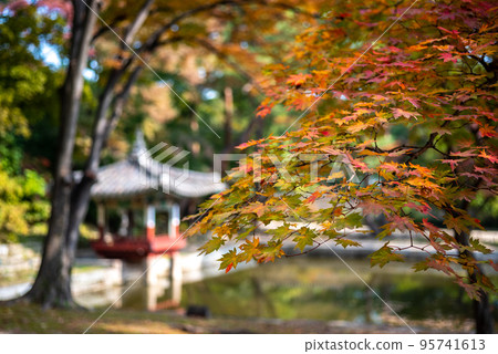 Changdeokgung royal palace of the Joseon dynasty in Autumn in Seoul South Korea 95741613