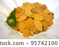 Hokkaido Wakkanai sea urchin picture material 95742100
