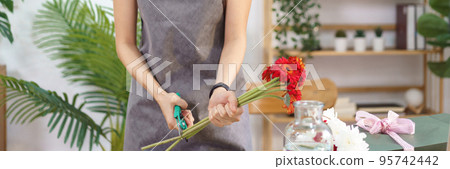 Florist concept, Female florist cutting stems of red gerbera with scissor for making flower bouquet 95742442