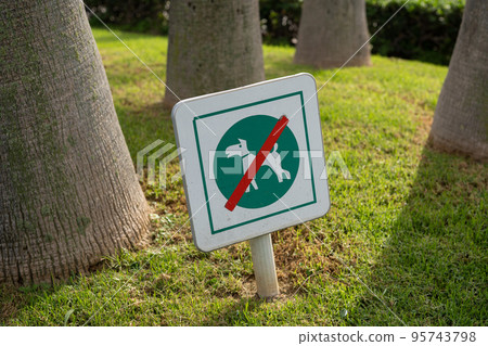 Sign dog walking is prohibited on the green lawn in the park close-up. 95743798