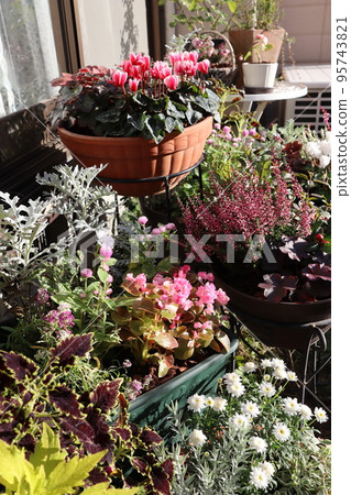 planting lots of flowers planting lots of flowers 95743821