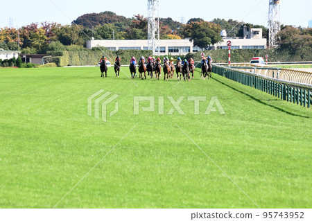 莎拉和其他人在東京賽馬場跑步 莎拉和其他人在東京賽馬場跑步 95743952