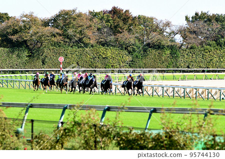 Sarah and others running at Tokyo Racecourse Sarah and others running at Tokyo Racecourse 95744130