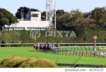 Sarah and others running at Tokyo Racecourse Sarah and others running at Tokyo Racecourse 95744133