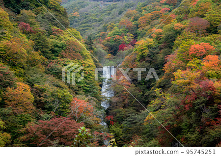 Nikko City, Tochigi Prefecture Irohazaka Kengamine Observatory Nikko City, Tochigi Prefecture Irohazaka Kengamine Observatory 95745251