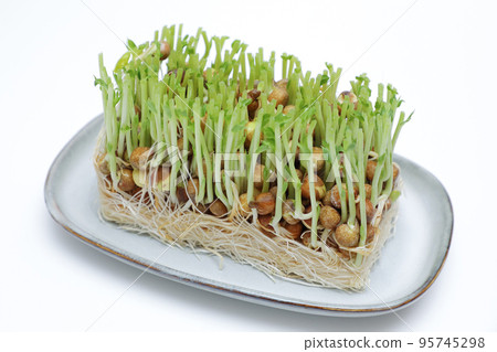 bean sprouts with cut ends 95745298
