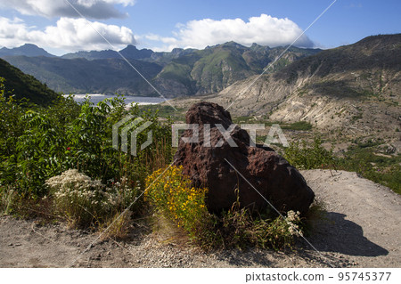 Volcanic area scenery Volcanic area scenery 95745377