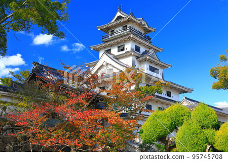 [愛媛縣]天氣晴朗和紅葉的今治城 95745708