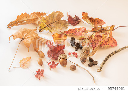 秋天丟失的物品 秋天丟失的物品 95745961