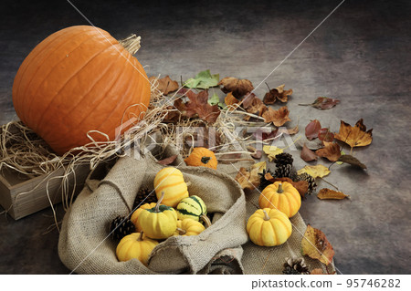 Autumn background Thanksgiving and Halloween background Orange and yellow pumpkins and fallen leaves and pinecone decorations 95746282