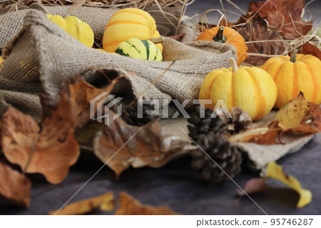 Autumn background Thanksgiving and Halloween background Orange and yellow pumpkins and fallen leaves and pinecone decorations Autumn background Thanksgiving and Halloween background Orange and yellow pumpkins and fallen leaves and pinecone decorations 95746287