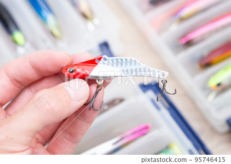 振動（誘餌類型，特性，如何選擇） 95746415