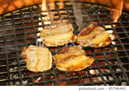 grilled meat on barbecue grill 95746442