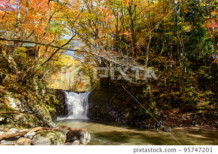 秋田縣圖手捲瀑布和流經秋葉的奧湯河 95747201