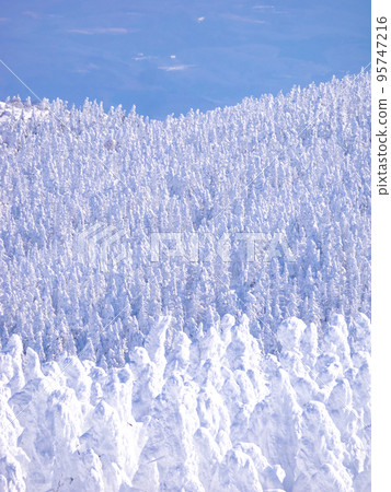 Overlooking the frost-covered trees (Mt. Zao, Yamagata Prefecture) 95747216