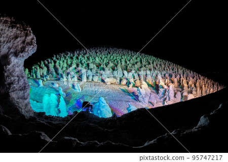 Illuminated rime trees (Yamagata Prefecture, Mt. Zao, Jizo Sancho Station) 95747217