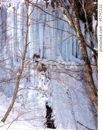 Icefall behind trees (Hokkaido, Shiraoi, Kajikazawa) 95747222