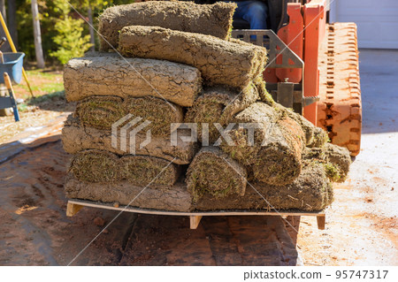 On construction site boom forklift truck is being used to unload green grass turf rolls in pallets for landscaping purposes. 95747317