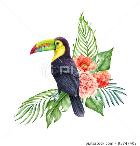 Floral decor with palm leaves and toucan bird. Watercolor illustration. Hand drawn tropical flowers with exotic jungle bright bird. Tropical flower decor. White background 95747402