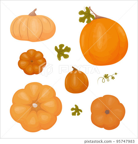 Vector set of orange pumpkins isolated on a white background. Vector set of orange pumpkins isolated on a white background. 95747983