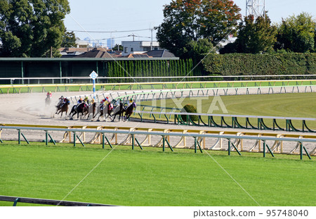 東京賽馬場土路 東京賽馬場土路 95748040