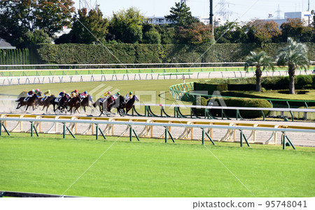 Tokyo Racecourse Dirt Course 95748041